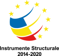 Instrumente structurale